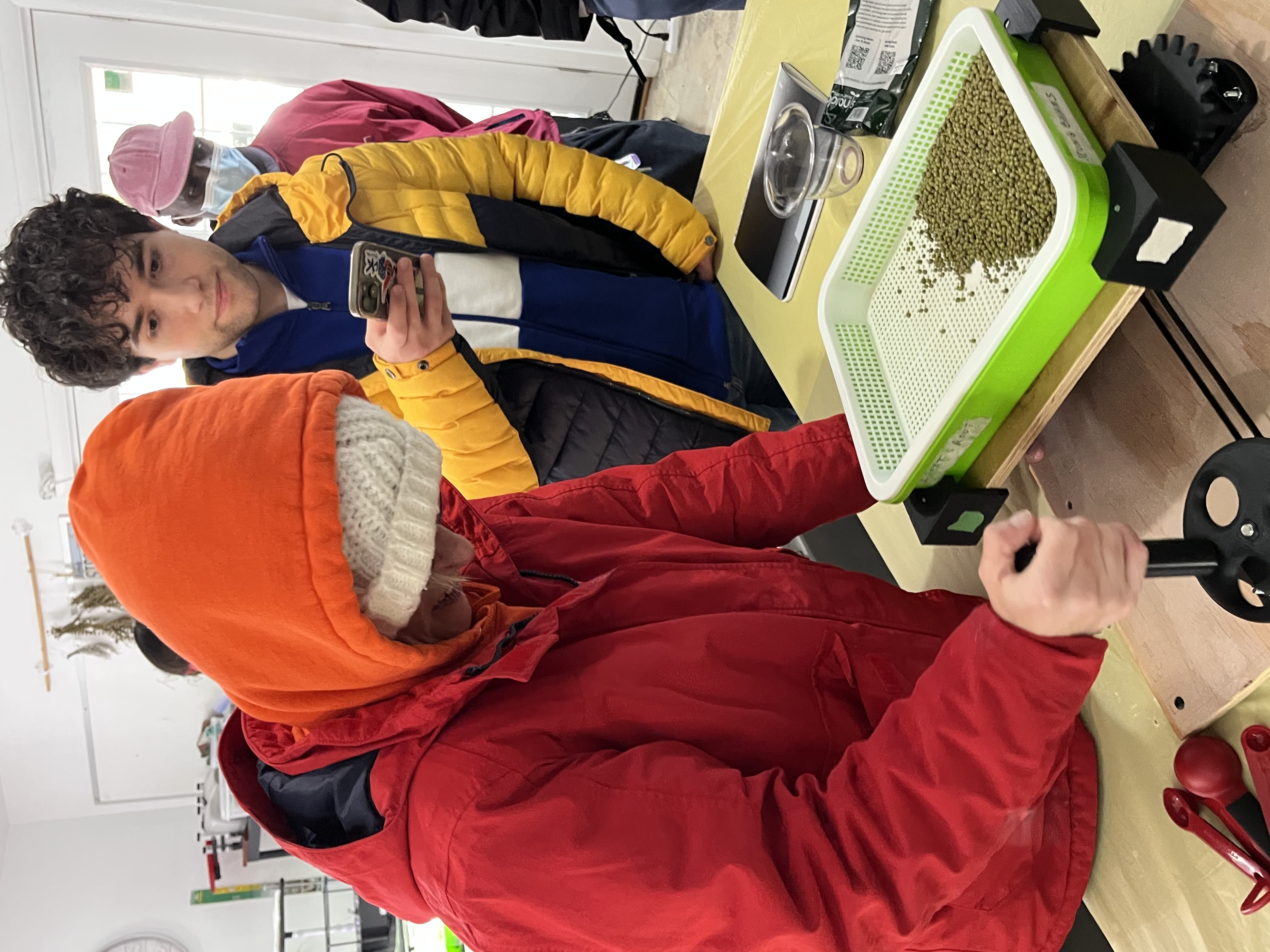 Testing the microgreens growing system