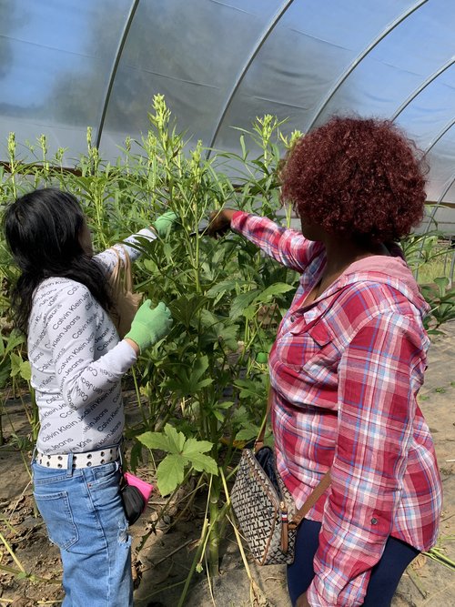 Group participating in recreational activities
