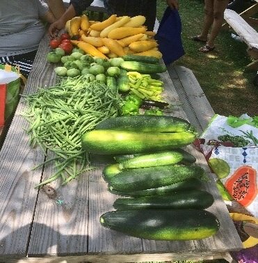 Building and grounds maintenance