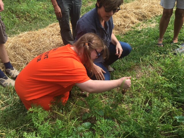 Spring planting preparations